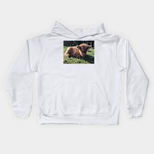 Scottish Highland Cattle Calf 1512 Kids Hoodie